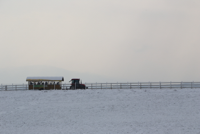 안성팜랜드 초원 눈썰매장 20202