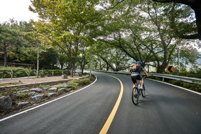 Anmingogae Hill (안민고개)