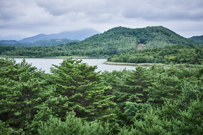 송지호 해안 서낭바위 (강원평화지역 국가지질공원)