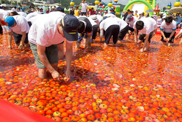 둔내고랭지토마토축제 2017 사진1