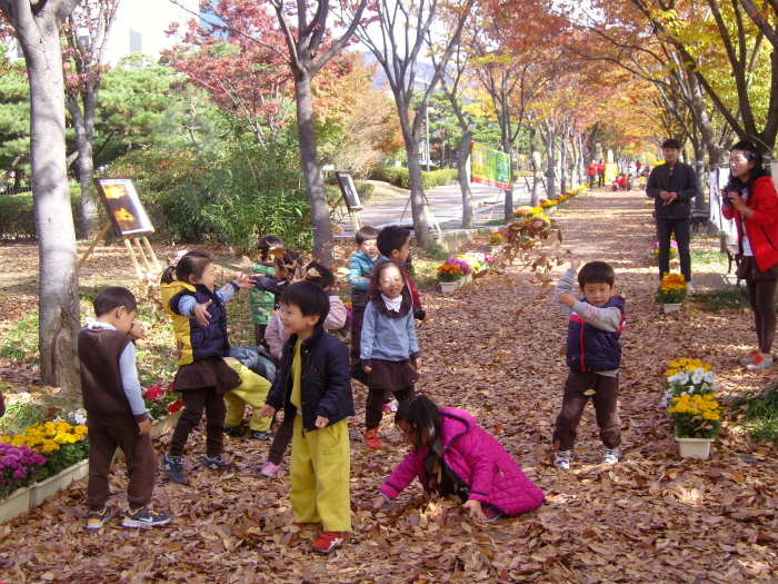 창원단풍거리축전 20190