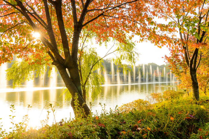 Parc du lac ouest de Séoul (서서울호수공원)