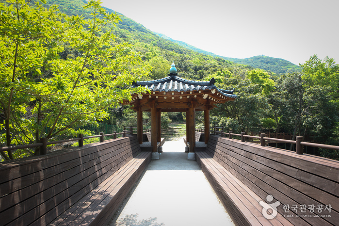 莞島樹木園(완도수목원)