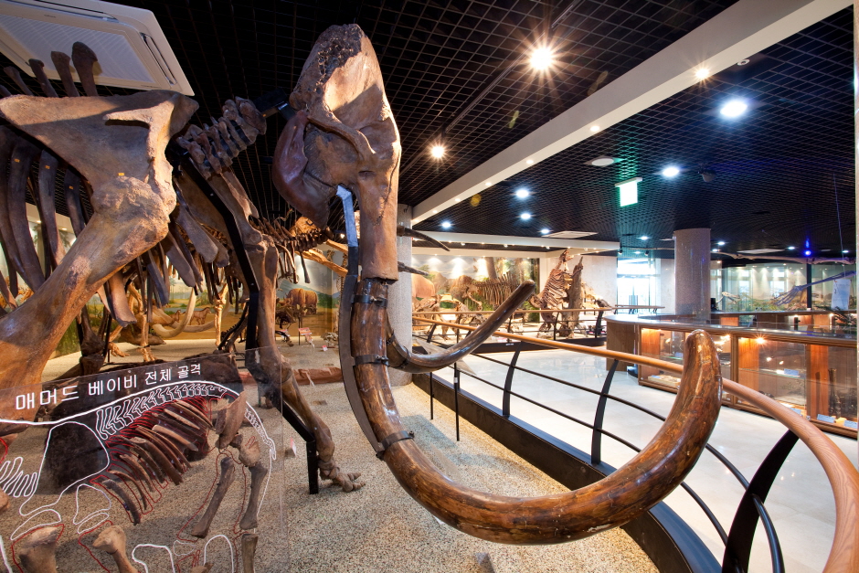 안면도쥬라기박물관0