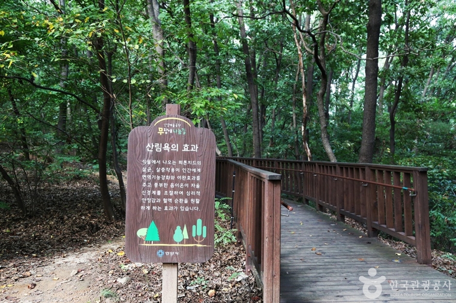 삼성산산림욕장