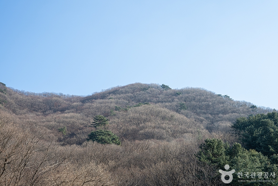 Chungnyeongsan Mountain (축령산)