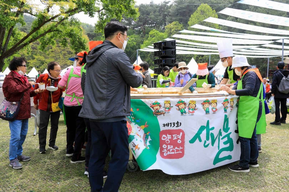 Yangpyeong Yongmunsan Wildkräuterfestival (양평 용문산 산나물축제)