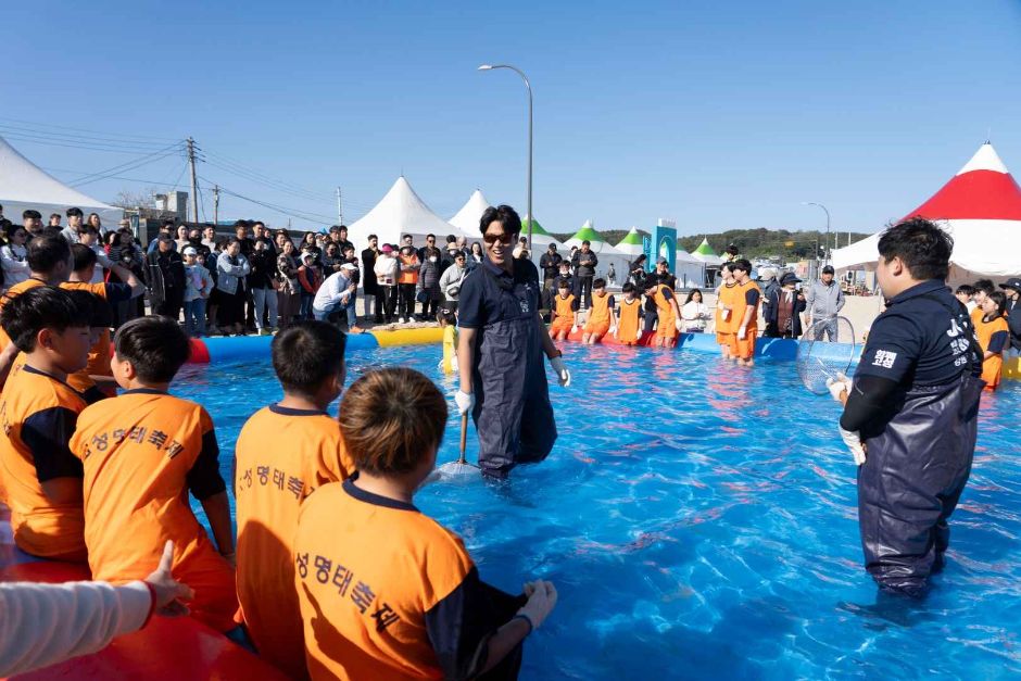 고성통일명태축제