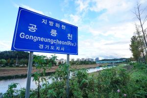 고양_공릉천 (2)