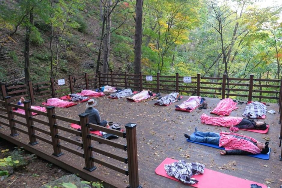 국립대관령치유의숲