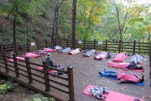 강릉_국립대관령치유의숲 (3)