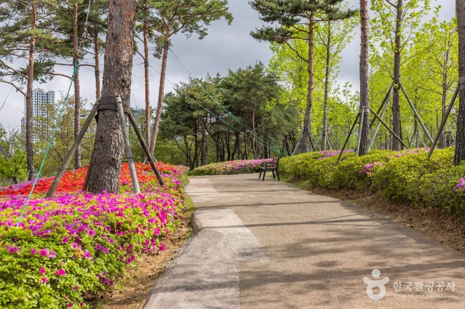 부산시민공원