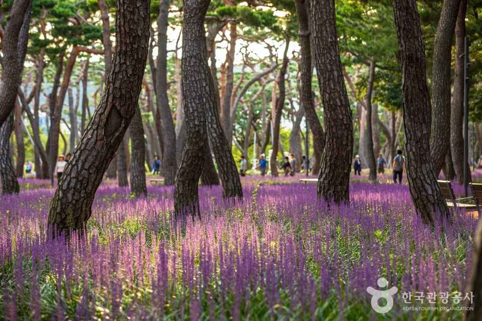 황성공원