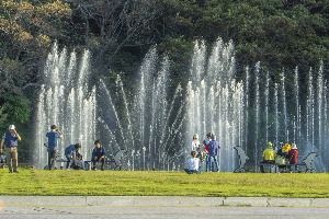 여수_오동도 (3)