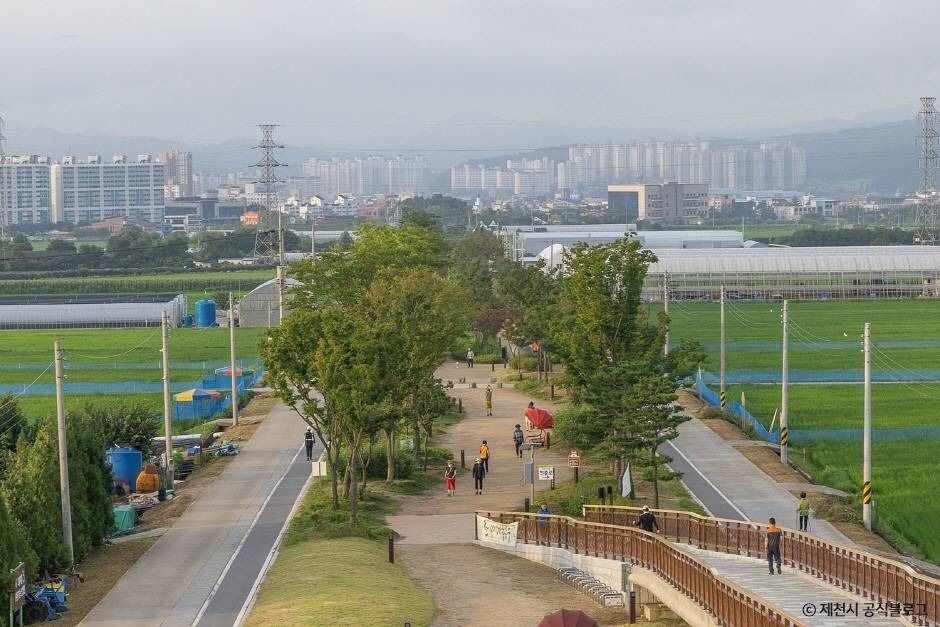 제천_삼한의 초록길 (2)