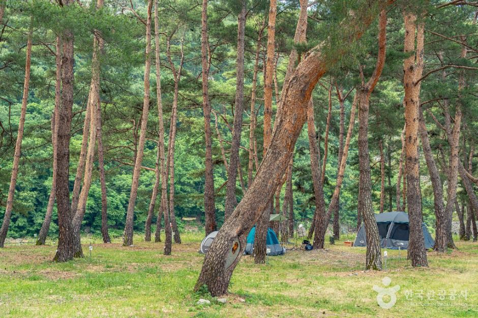 오천솔밭유원지
