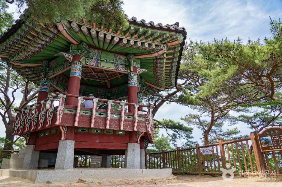 하조대