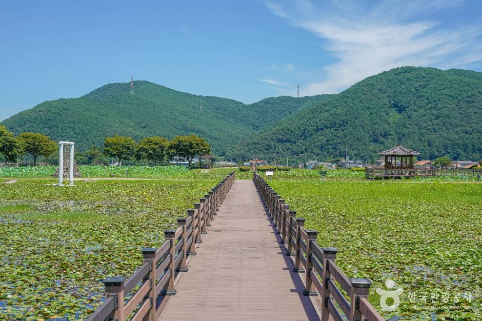 상리연꽃공원