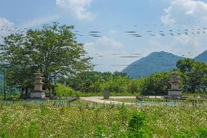 산청_산청 단속사지 동 삼층석탑 (1)