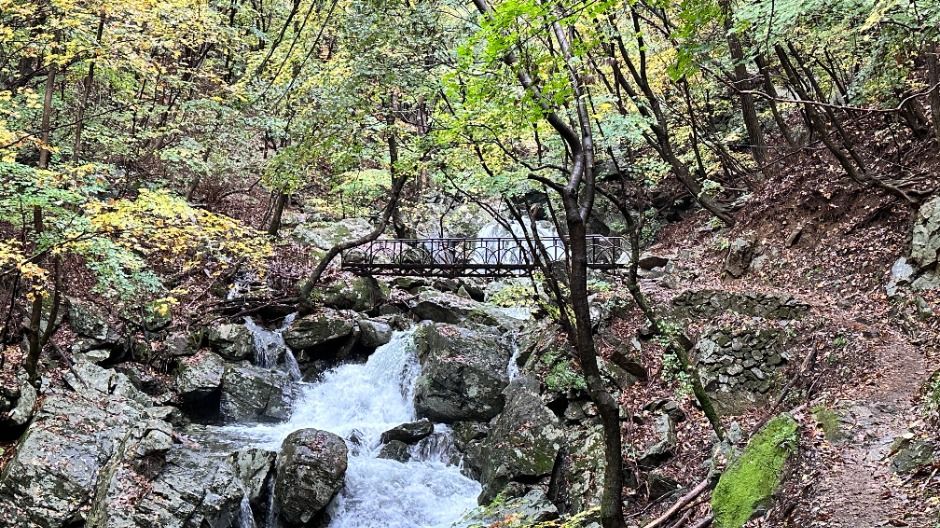 상원사(원주)