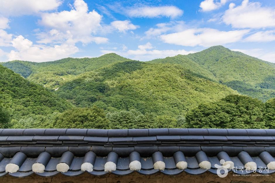 영주_비로사(영주) (6)