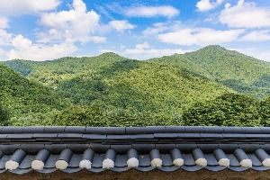 영주_비로사(영주) (6)