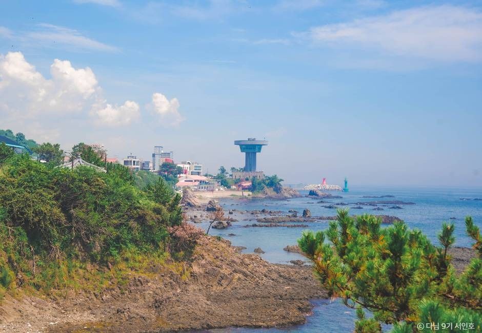 경주 바다 여행 가볼만한곳_읍천항_3-7