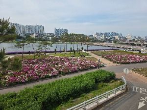 영천_영천생태지구공원 (7)
