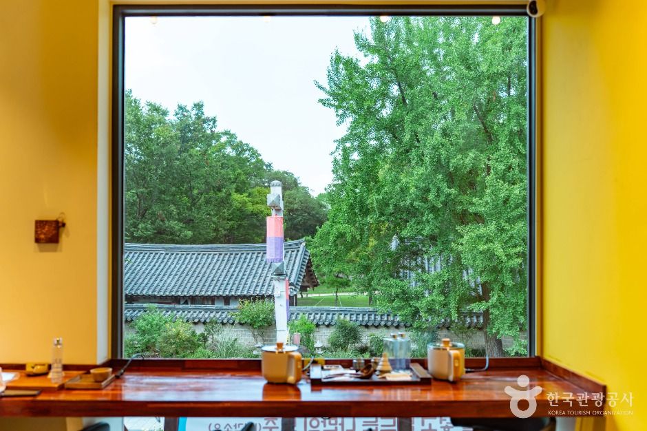 모주체험여