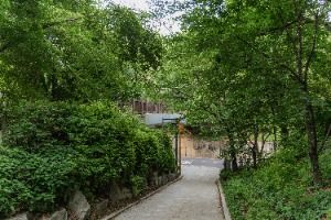 서울_서리풀공원 (1)