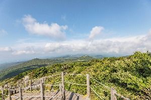 Yeongsil Trail (Hallasan National Park) (한라산 영실)