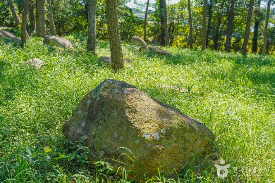 장흥 방촌리 지석묘군