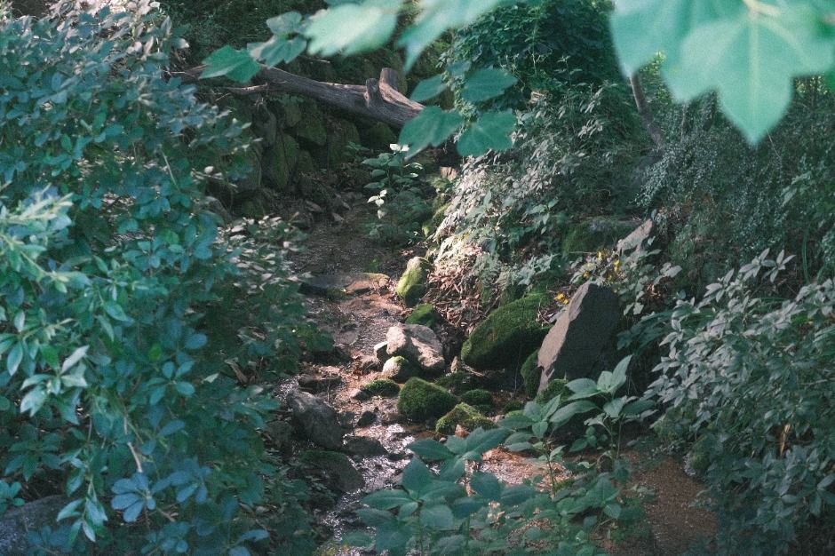 thumbnail-러스틱라이프-6