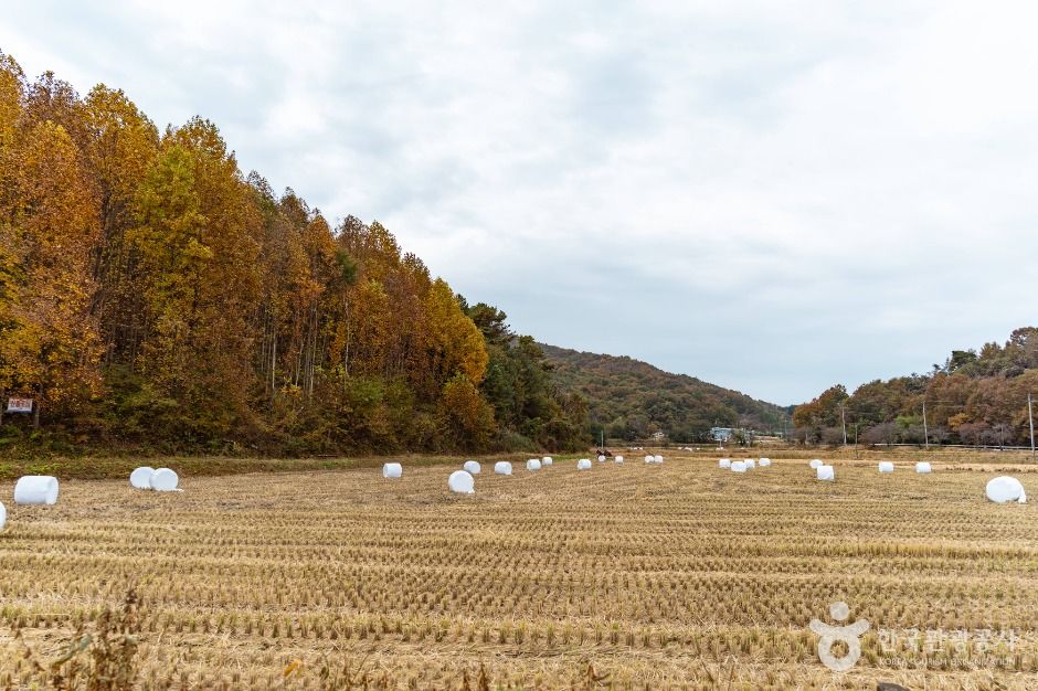 둥구리 농촌체험휴양마을