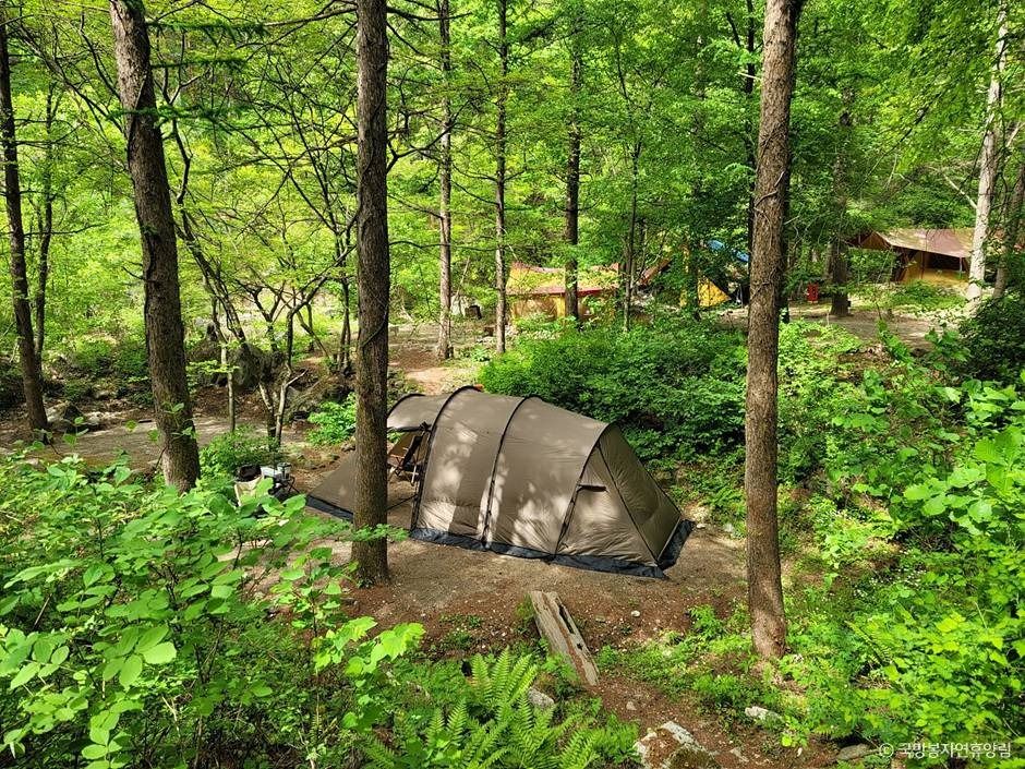 thumbnail-국망봉자연휴양림-8