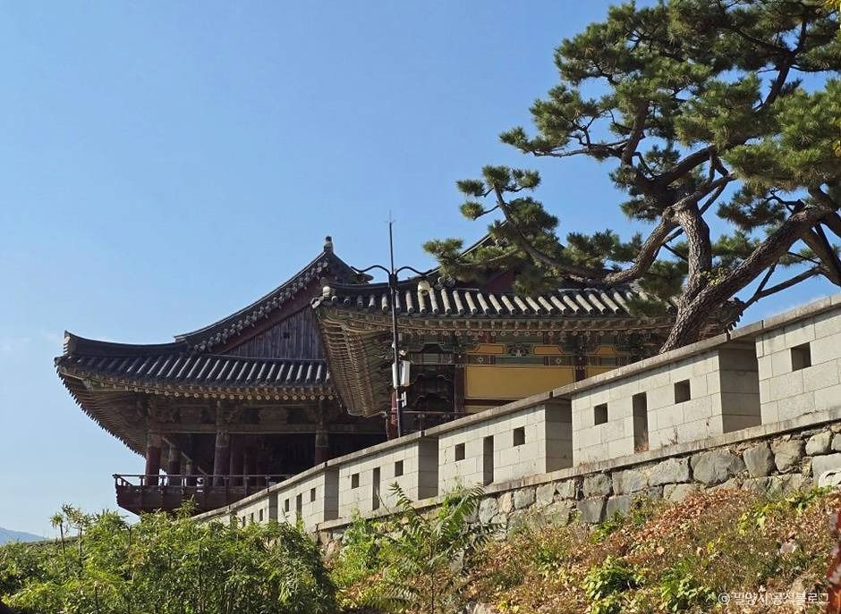 thumbnail-천진궁-1