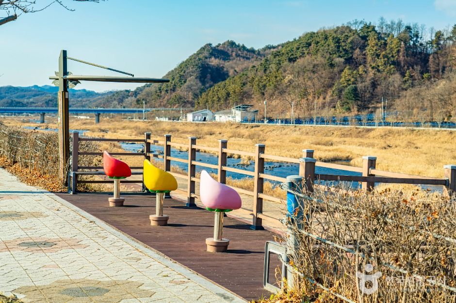 섬강(섬강유원지)