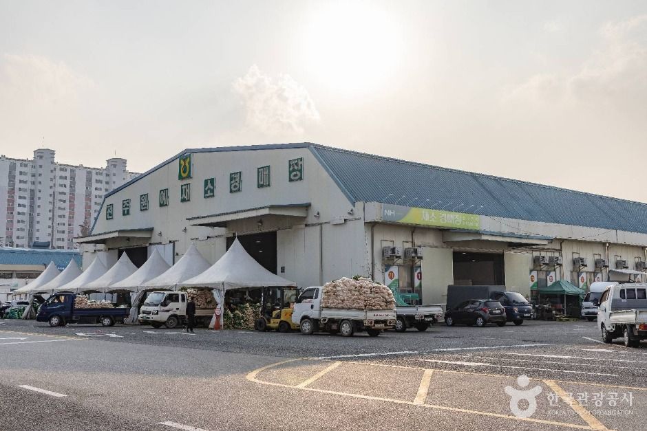 전주_전주시 농수산물도매시장 (10)