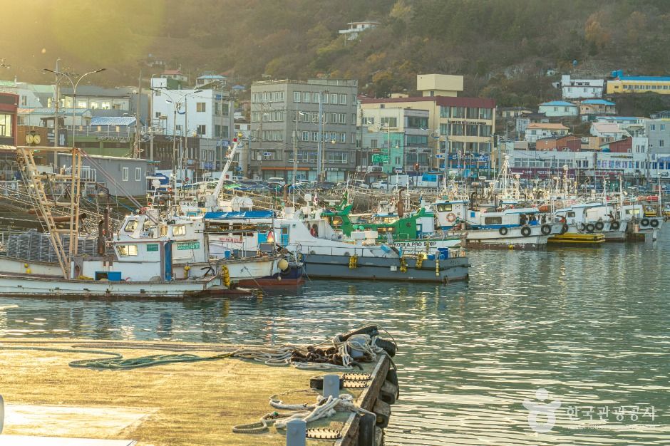 thumbnail-완도항-6