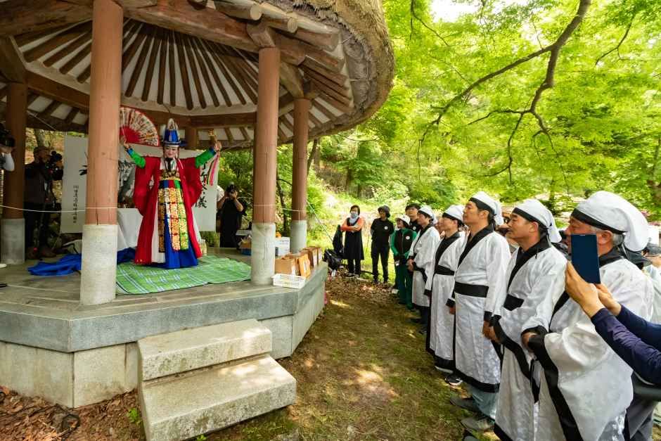 thumbnail-영주 소백산 철쭉제-8