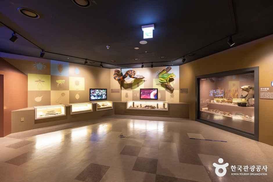 thumbnail-강화자연사박물관-1