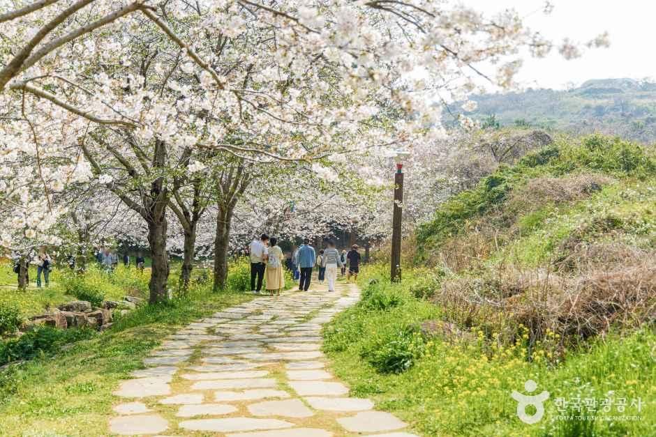 thumbnail-대왕수천예래생태공원-0