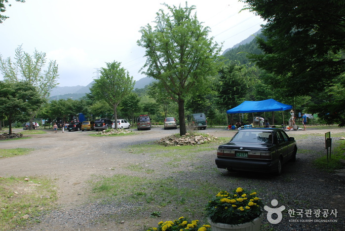 Jangnyeongsan Natural Forest (장령산자연휴양림)