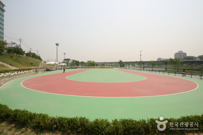 살곶이체육공원1