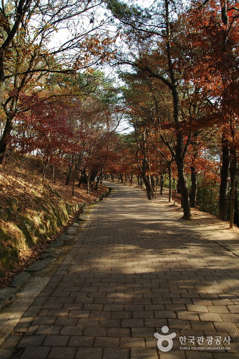 Busosanseong Fortress of Buyeo (부여 부소산성)