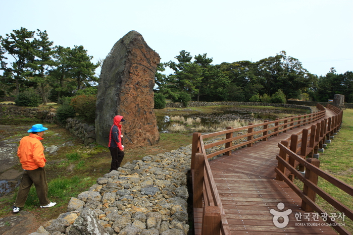[제주올레 2코스] 광치기-온평 올레9