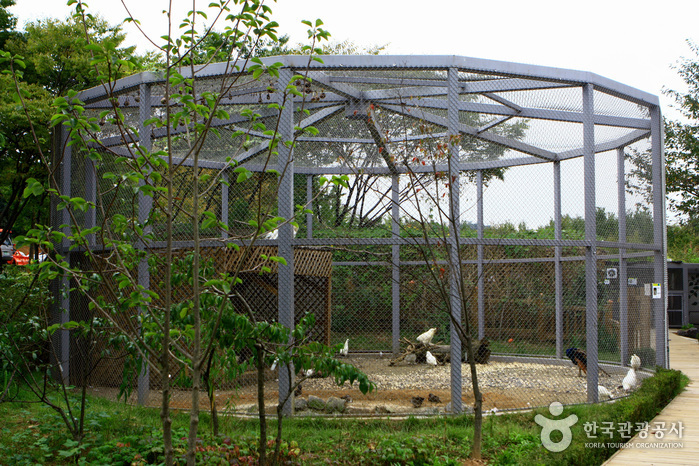 Mulhyanggi Arboretum (물향기수목원)