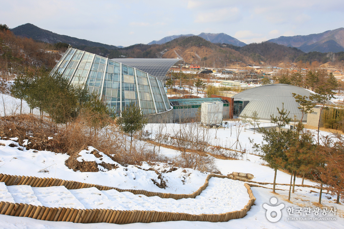 Bandi Land (무주 반디랜드)