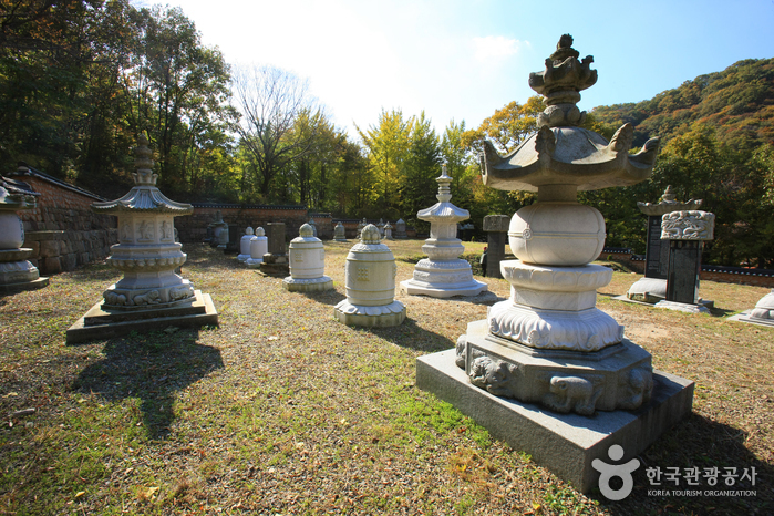 Baegyangsa Temple (고불총림 백양사)