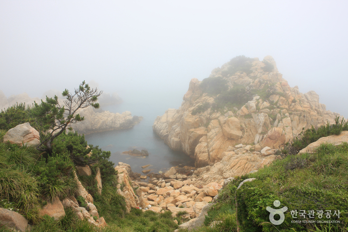 Daewangam Park (대왕암공원)